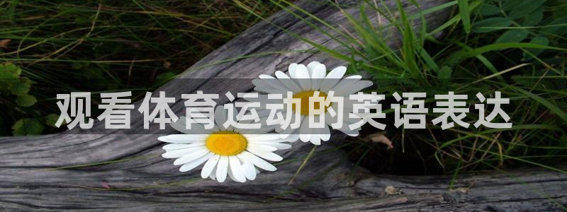 www.178体育：观看体育运动的英语表达