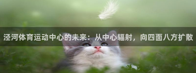 178体育app官网：泾河体育运动中心的未来：从中心辐射，向四面八方扩散