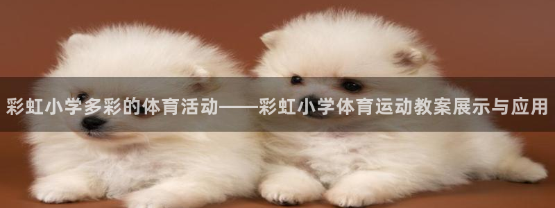 178体育客服电话24小时人工服务：彩虹小学多彩的体育活动——彩虹小学体育运动教案展示与应用