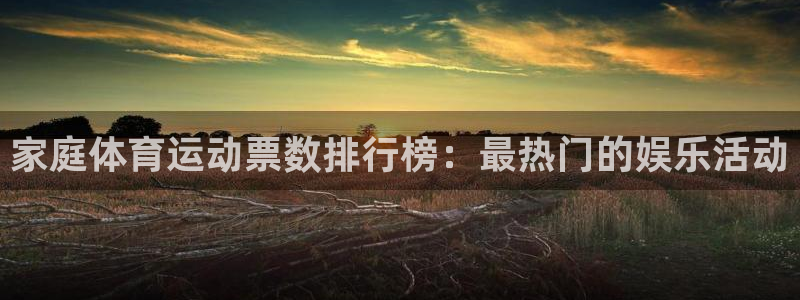 178体育下载：家庭体育运动票数排行榜：最热门的娱乐活动