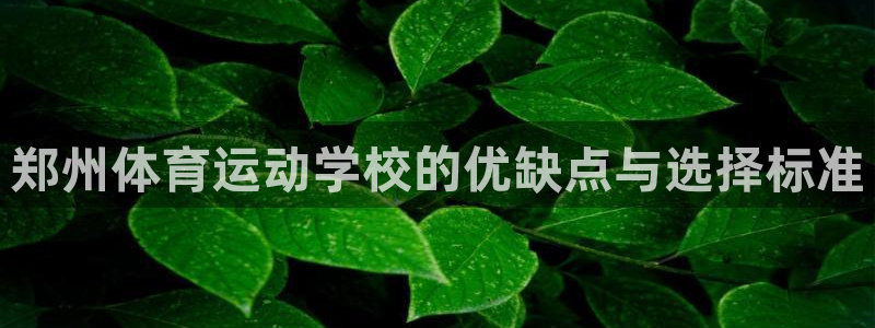 178体育芒果解说：郑州体育运动学校的优缺点与选择标准