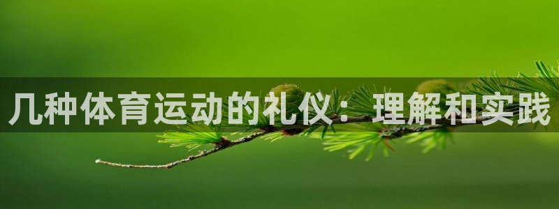 178体育一哥：几种体育运动的礼仪：理解和实践